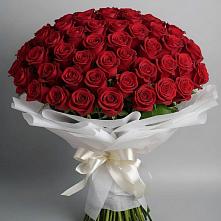 Букет 101 Красная роза Блэк Мэджик в Федоровском