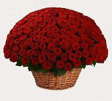 Премиум букет из: Розы #REPLACE_PRED# Федоровском